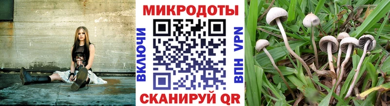 Галлюциногенные грибы MAGIC MUSHROOMS Звенигово
